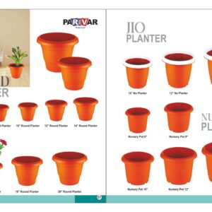 natural extracted olive oil